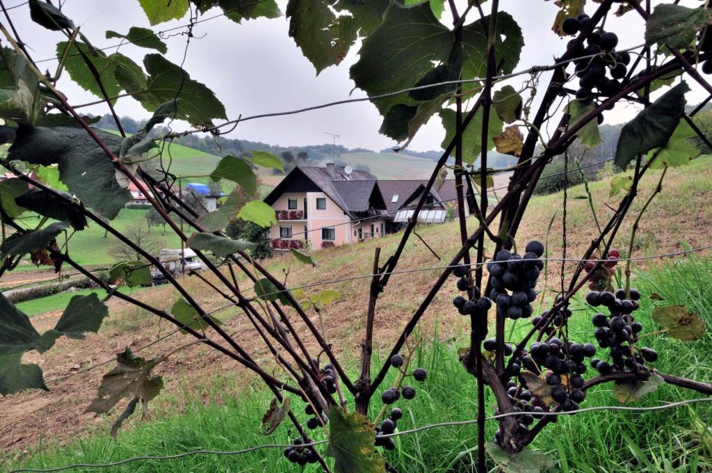 Gaestehaus Anna Unterlamm  Esterno foto